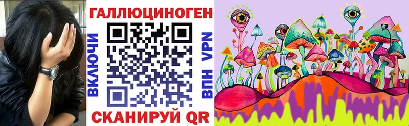 Псилоцибиновые грибы GOLDEN TEACHER  где найти   площадка какой сайт  Льгов 